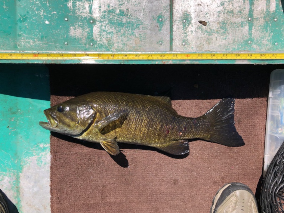 CD53BA6E-BE64-42A2-ACC2-5C0602A20D7E