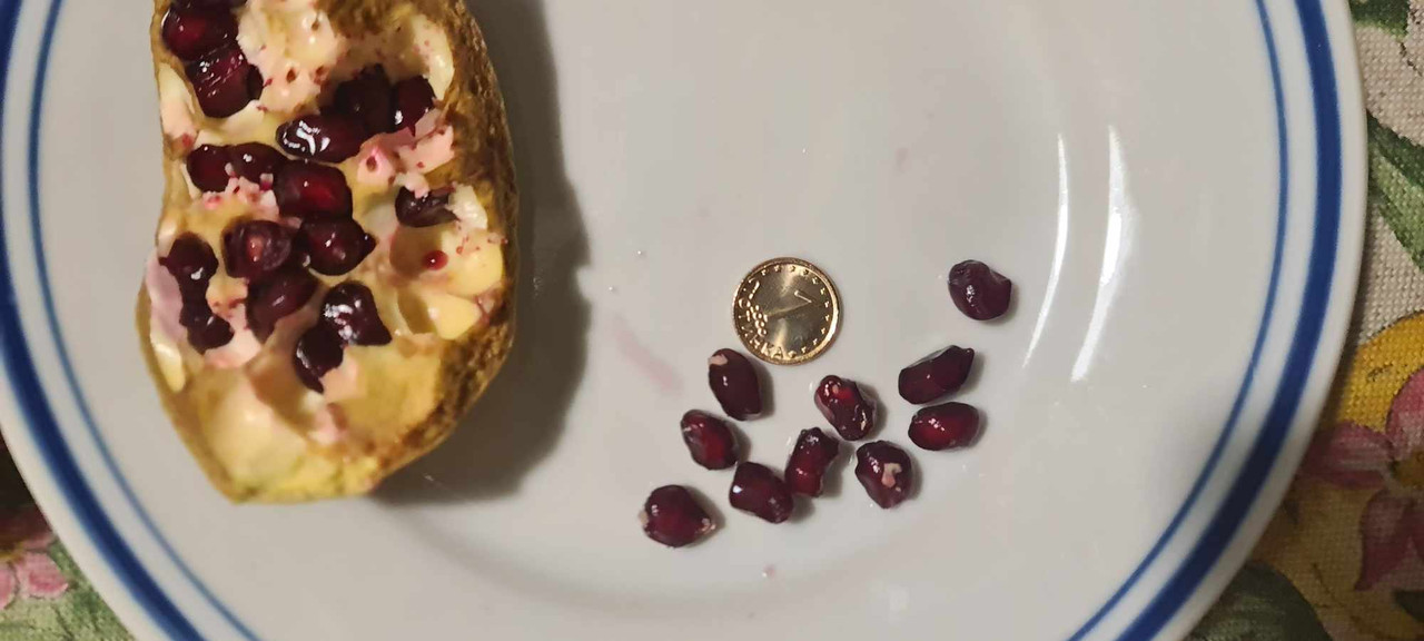 406688666_1513364246120589_7003992245515848276_n