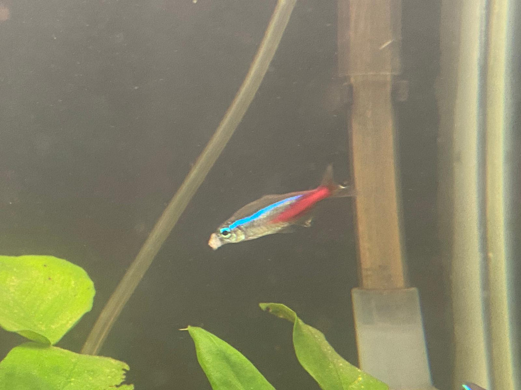 3D3F38A7-6CA7-428B-BA5D-46842C54E820