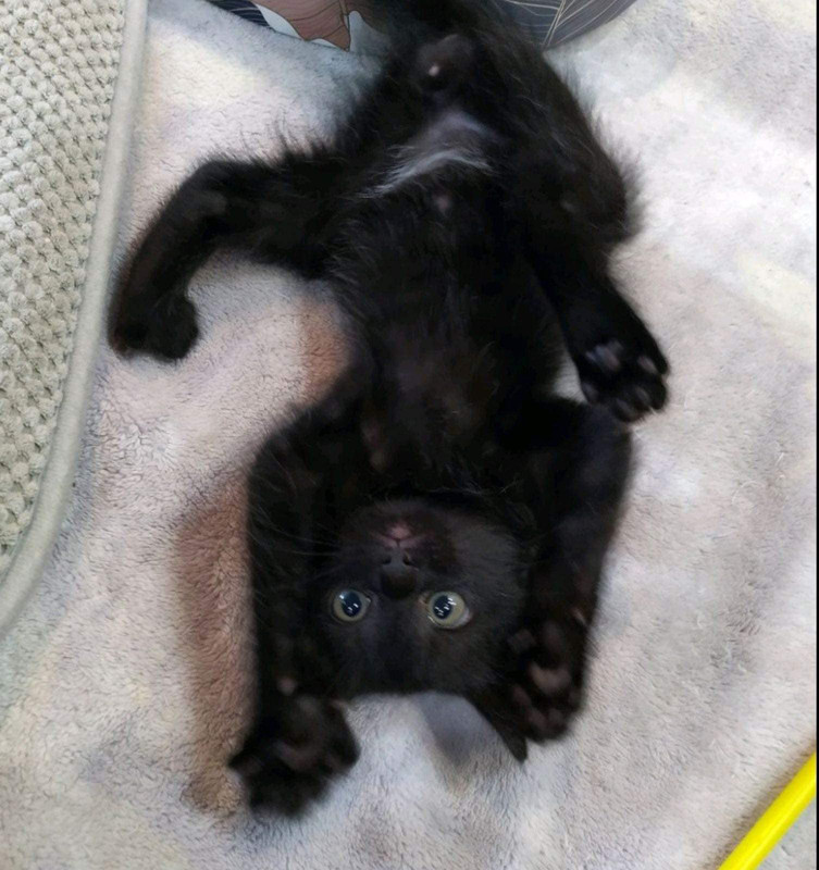 406152241_735470105286956_5138214857382689893_n