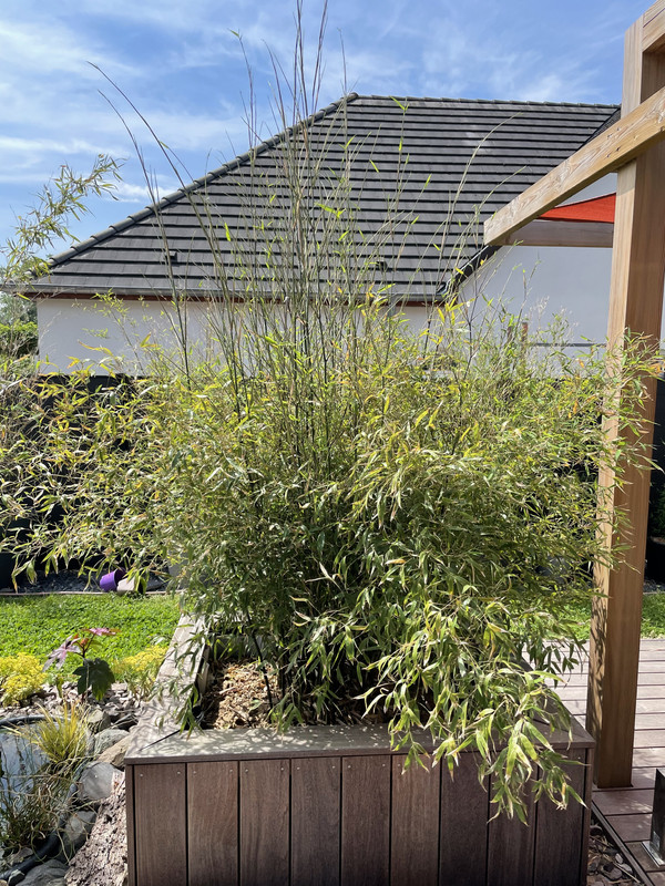 777ADB1E-F8B2-4788-99B2-C73A10788B4D