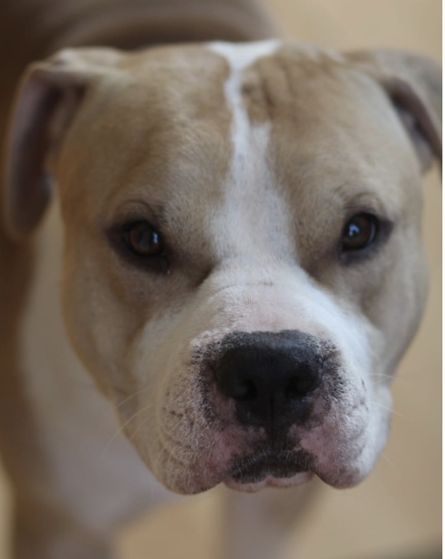 Снимок экрана 2024-11-02 в 20.15.11