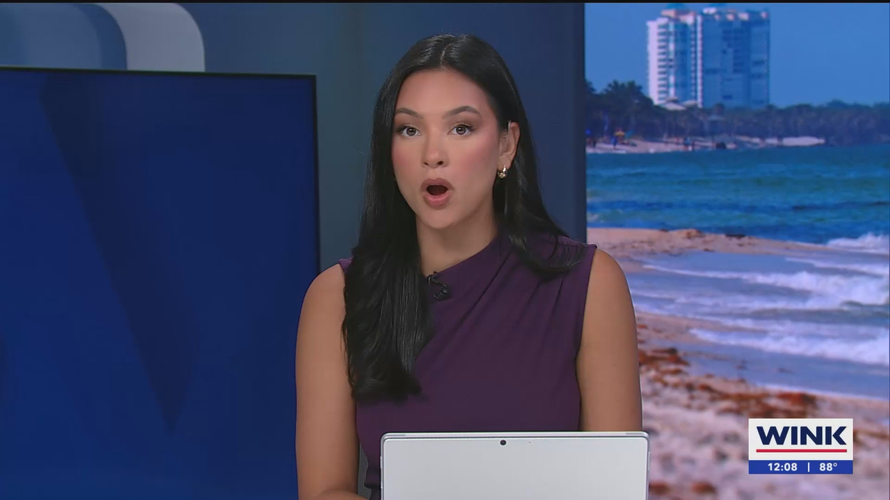 06.10 - 17.00.00 - The WINK Noon News  ᴺᵉʷ. Midday news update..ts_snapshot_14.09.591