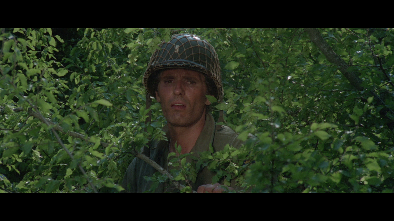 vlcsnap-2023-03-11-14h29m58s035