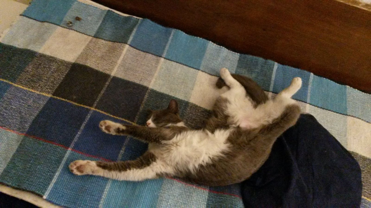 εικόνα_Viber_2020-02-27_00-51-29