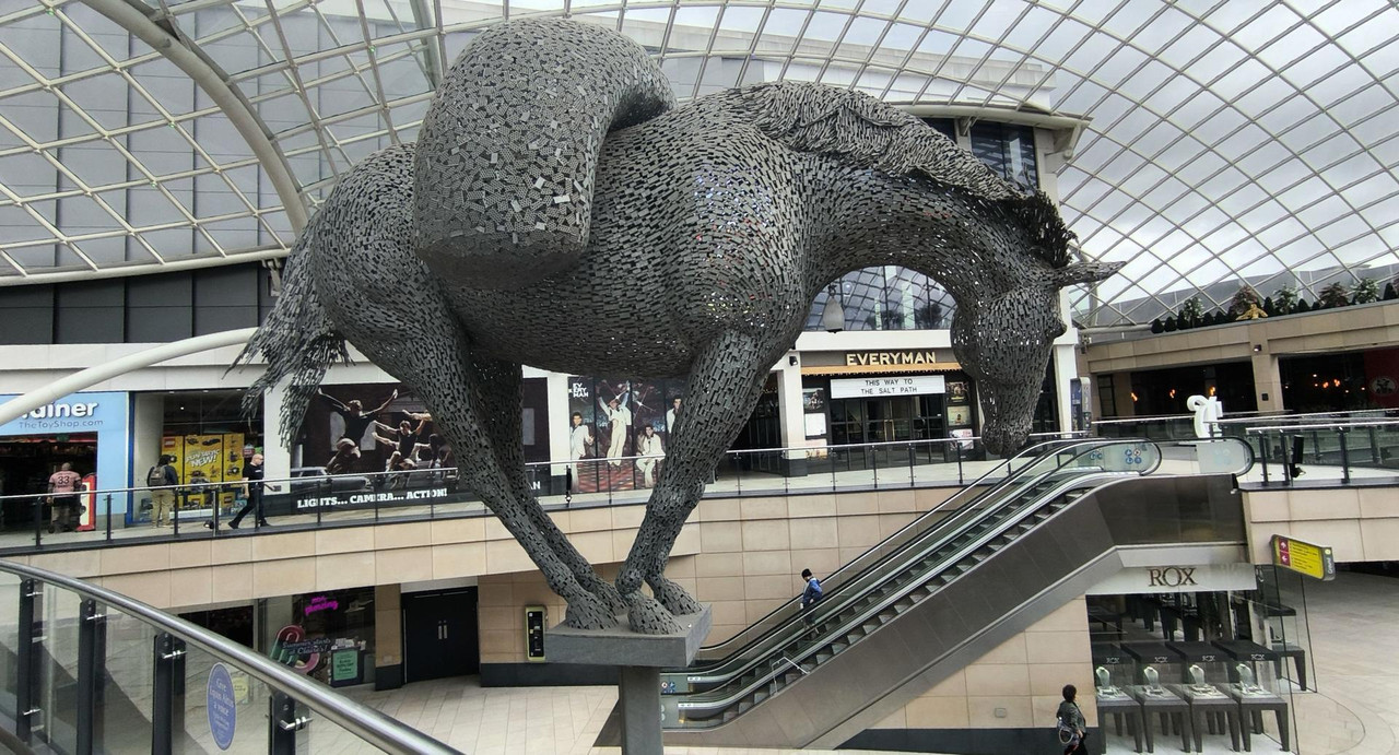 [Bild: IMG-20250531-093104b.jpg]