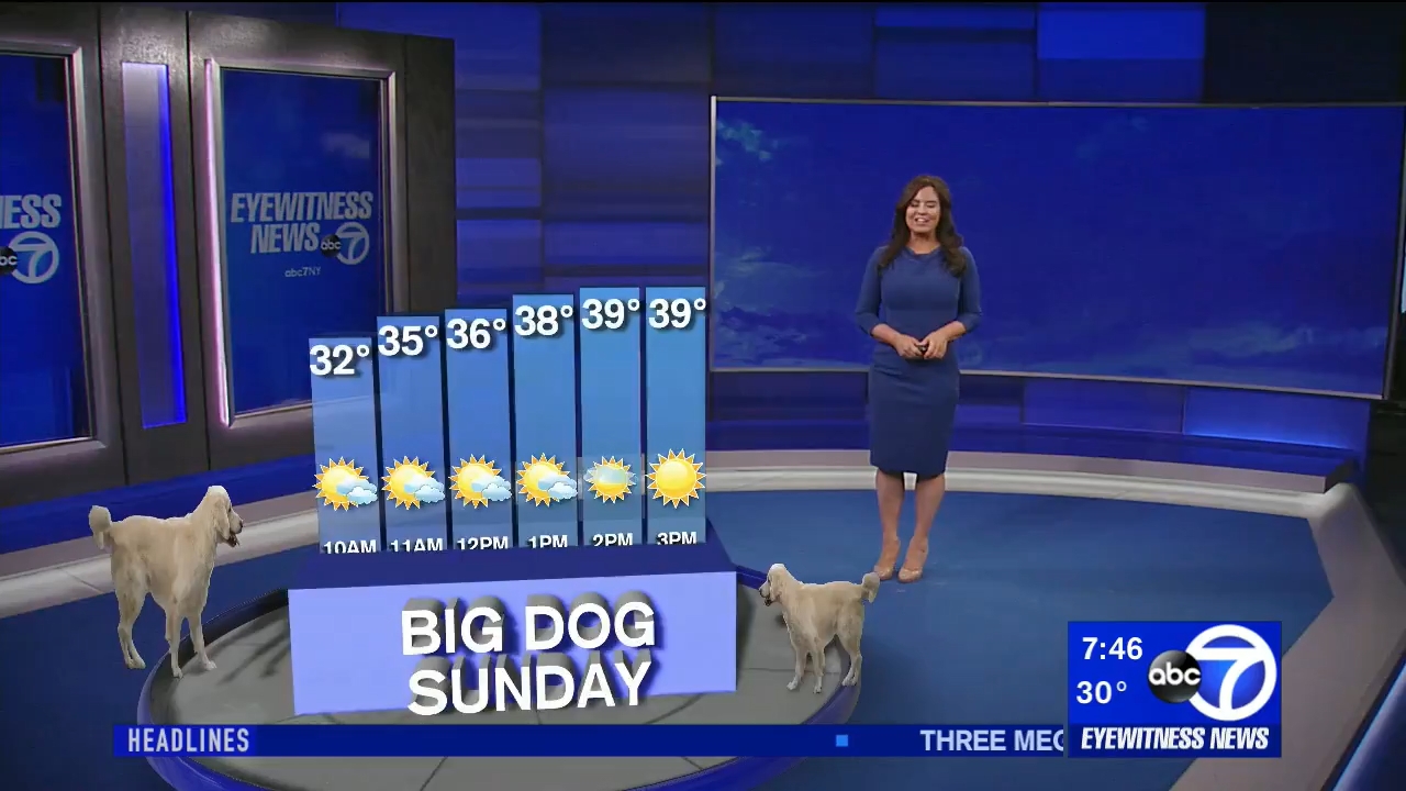 01.10 - 11.00.00 - Eyewitness News Sunday Morning..ts_snapshot_00.50.51.669