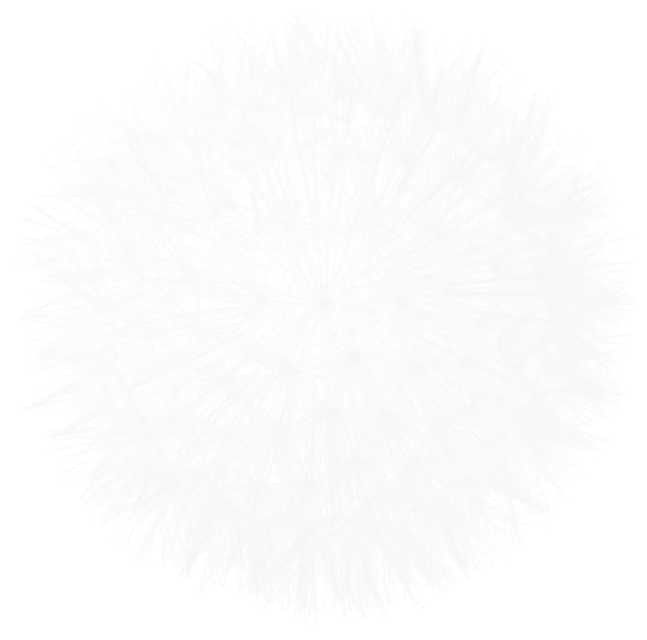 DBJ_ELEM88