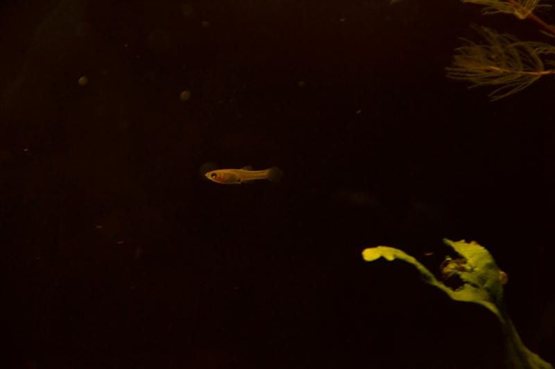 DSC_0108 (2) (Custom)