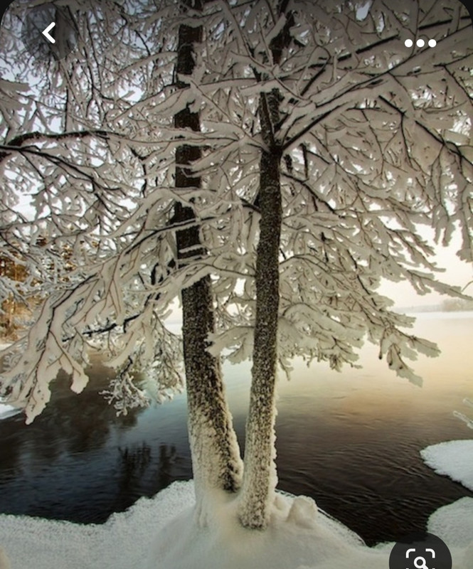 Screenshot_20231102_000801_Pinterest