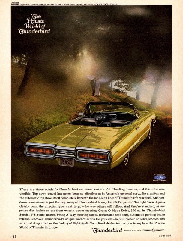 1965t-birdconv