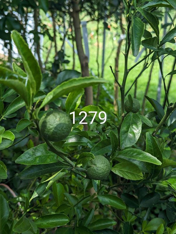 PXL_20230817_183951779~2