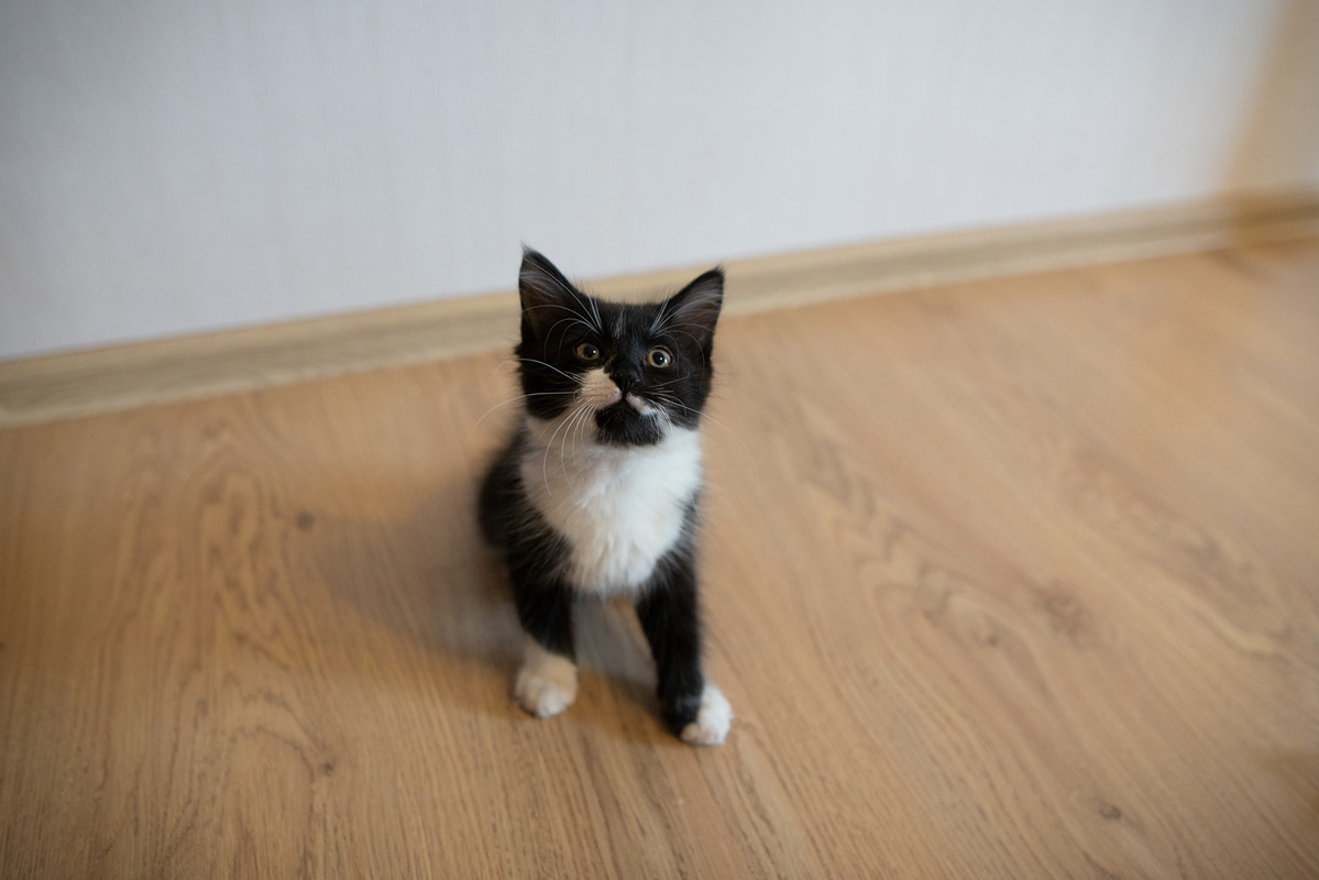 6DE9D210-7594-4C51-B8AF-E7640528BC68