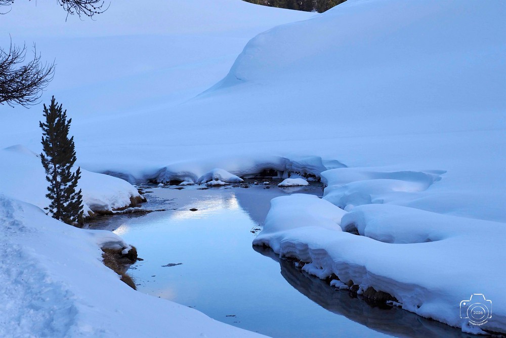 617146486-25480063804949866-2298260497418710807-nb