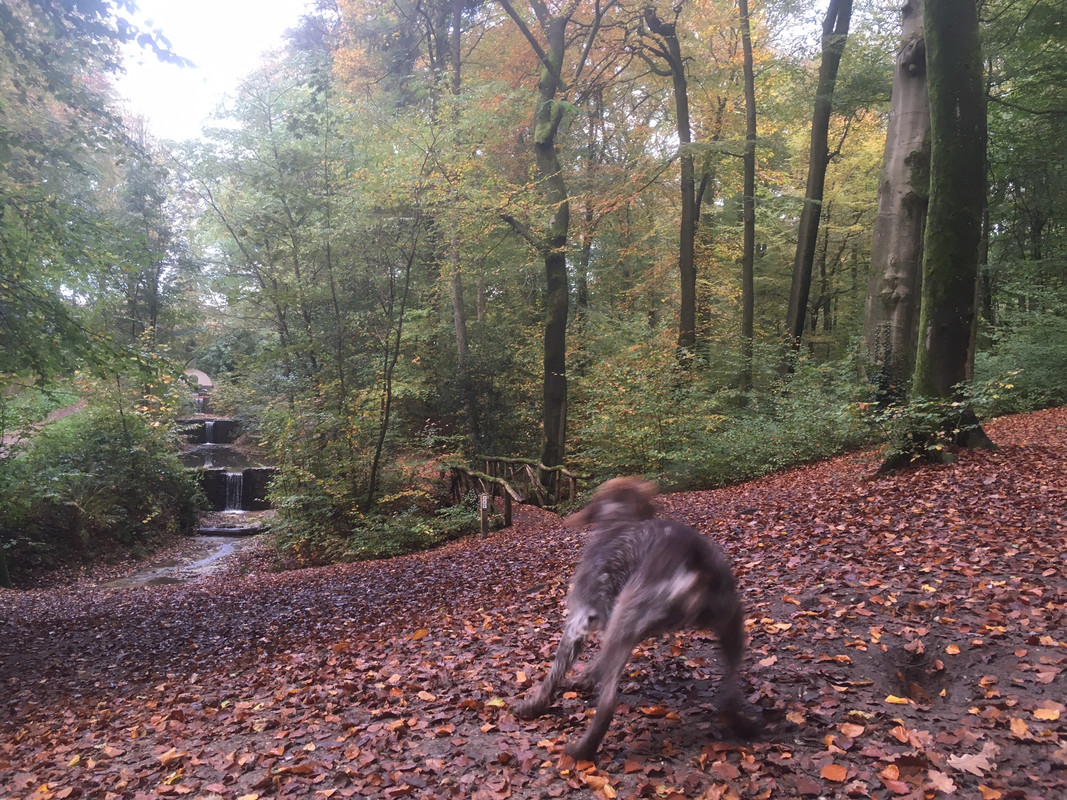 2024-27-10 Claire in stand 1 IMG_4329 (002)