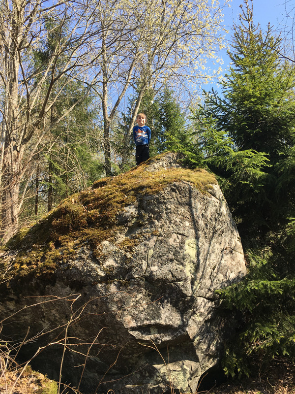 82160459-9DD3-41DA-82ED-8B9E6720F6DC