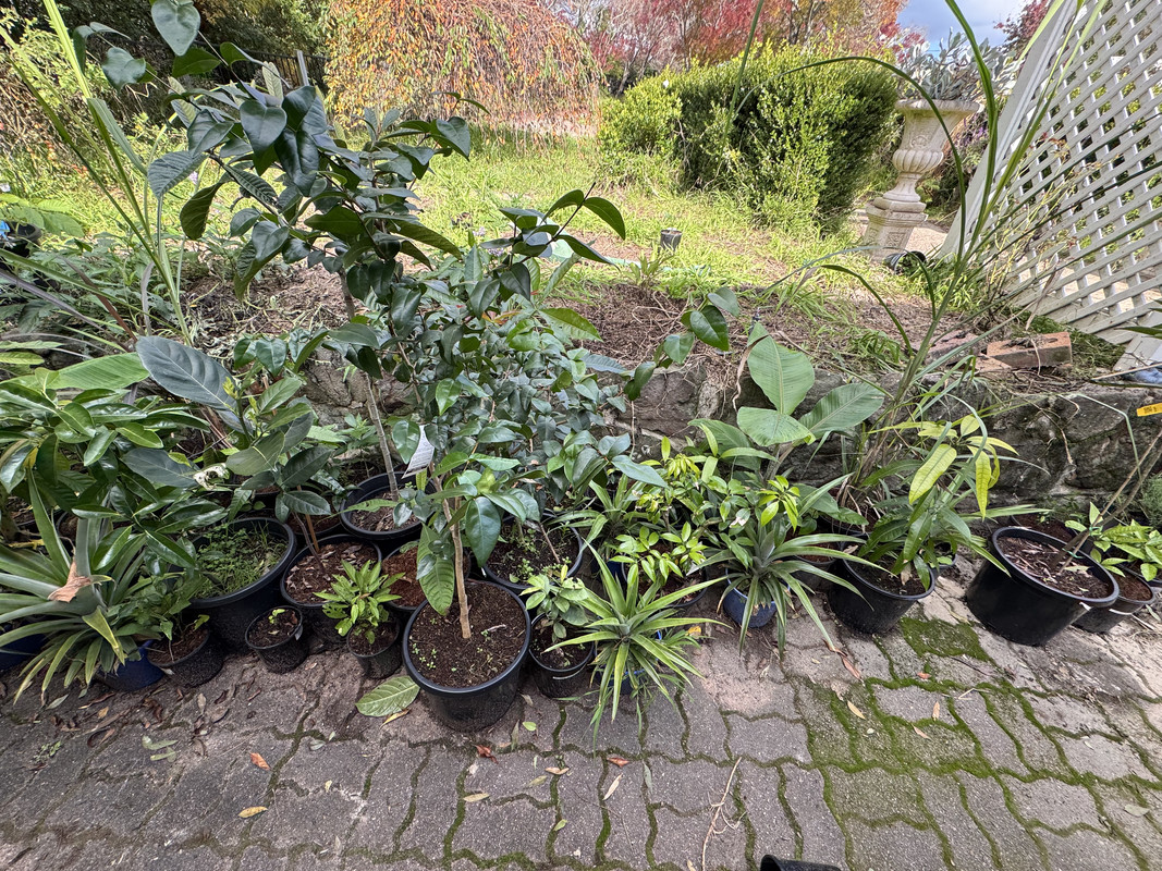 CFDDA177-3FC5-48AF-9B64-F405E25E03CD