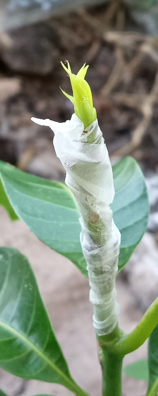 IMG_20230723_085535250~2