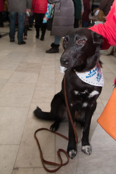 C91B8749-89CD-41CD-8DDE-F5EBA09261F9