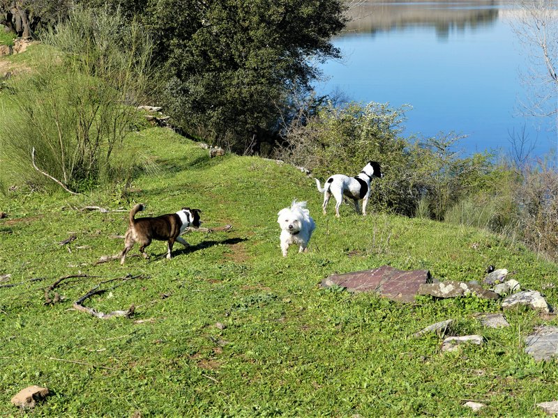 PARQUE NACIONAL DE MONFRAGÜE-2020/2023 - EXTREMADURA Y SUS PUEBLOS -2010-2023 (34)