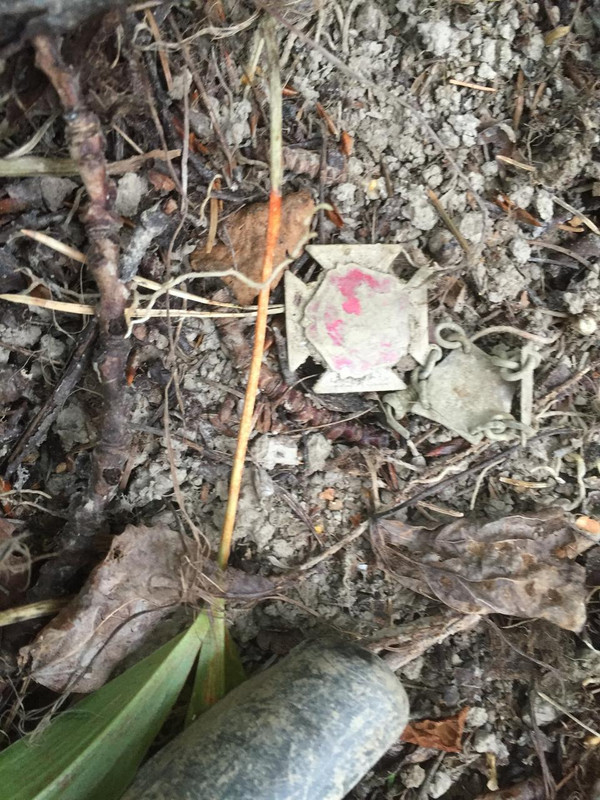 42EF0A1A-D74F-44D3-9938-C12E095C5ABB