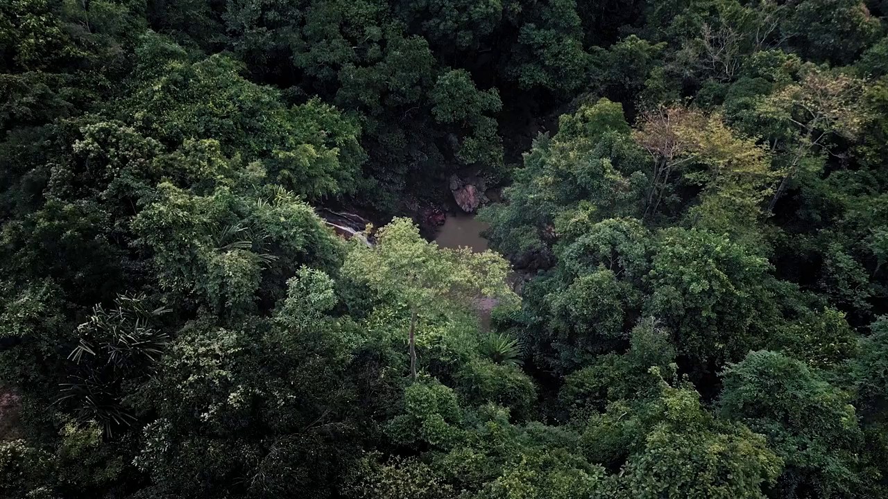 River-of-Blood-2024-WEBRip-English-720p-x264-AVC-AAC-2-0-mp4-0004
