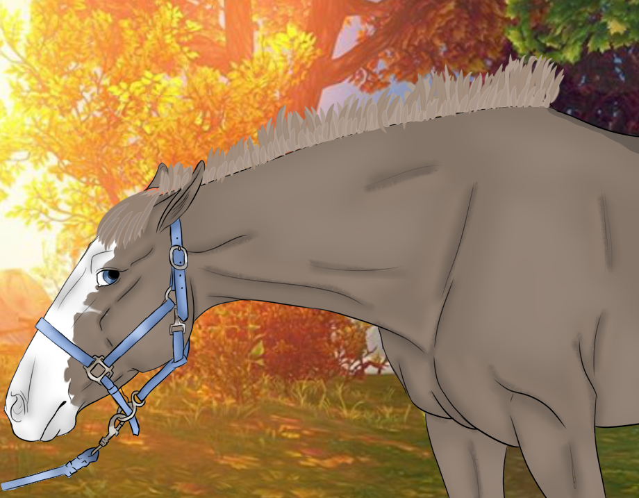 16614EC9-9C92-498E-A8BC-B0FD7A47A732