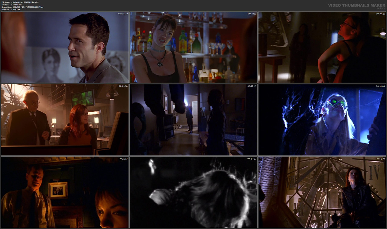 Birds of Prey S01E01 Pilot.mkv