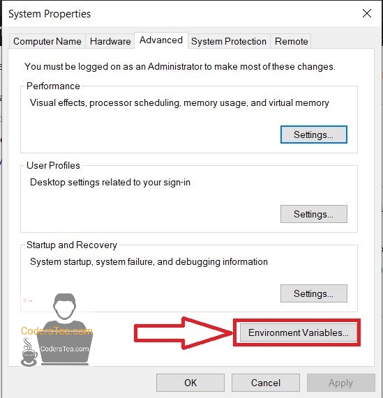 Windows environment variables