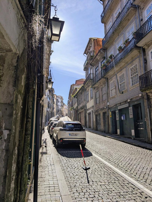 644729319 25585575744475388 4103278651248107798 n