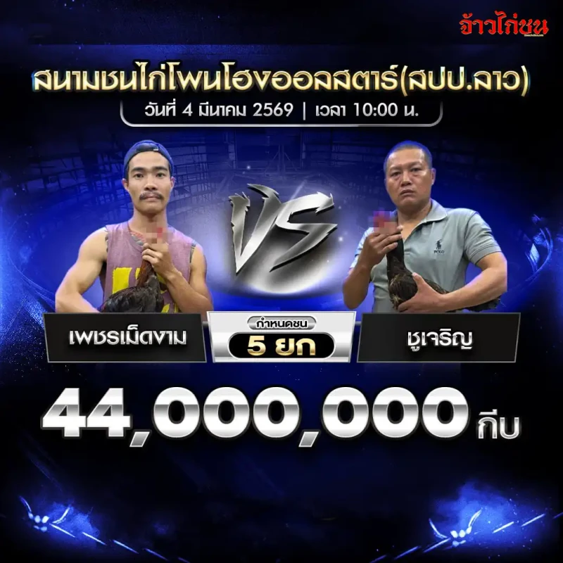 คู่ที่ 3 เพชรเม็ดงาม พบ ชูเจริญ โปรแกรมไก่ชน สนามชนไก่โพนโฮงออลสตาร์ 4 มีนาคม 2569