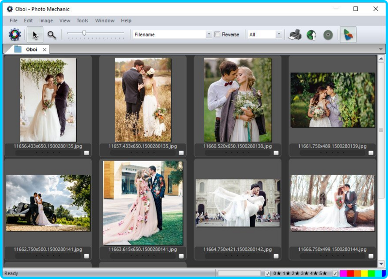 Photo-Mechanic-6-0-Build-6424-x64.png