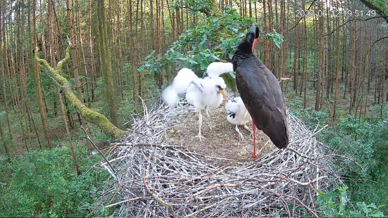 12 june- 19.51 już lecę