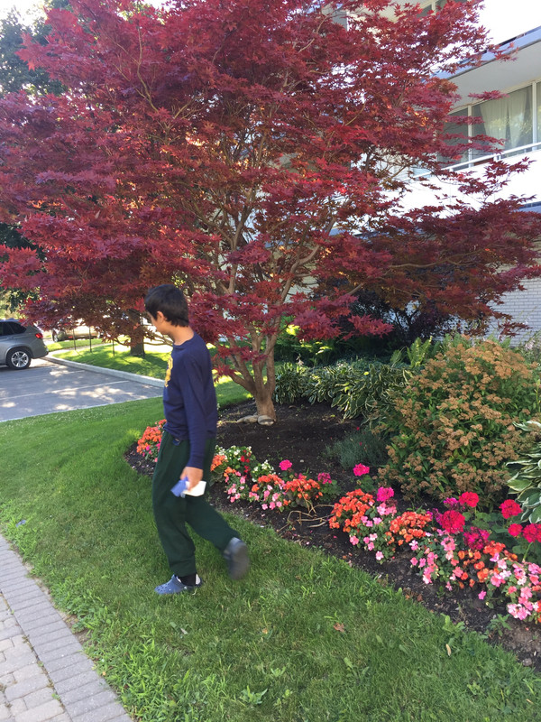 e083c620aefefa6cdffdc4c5384d08bd