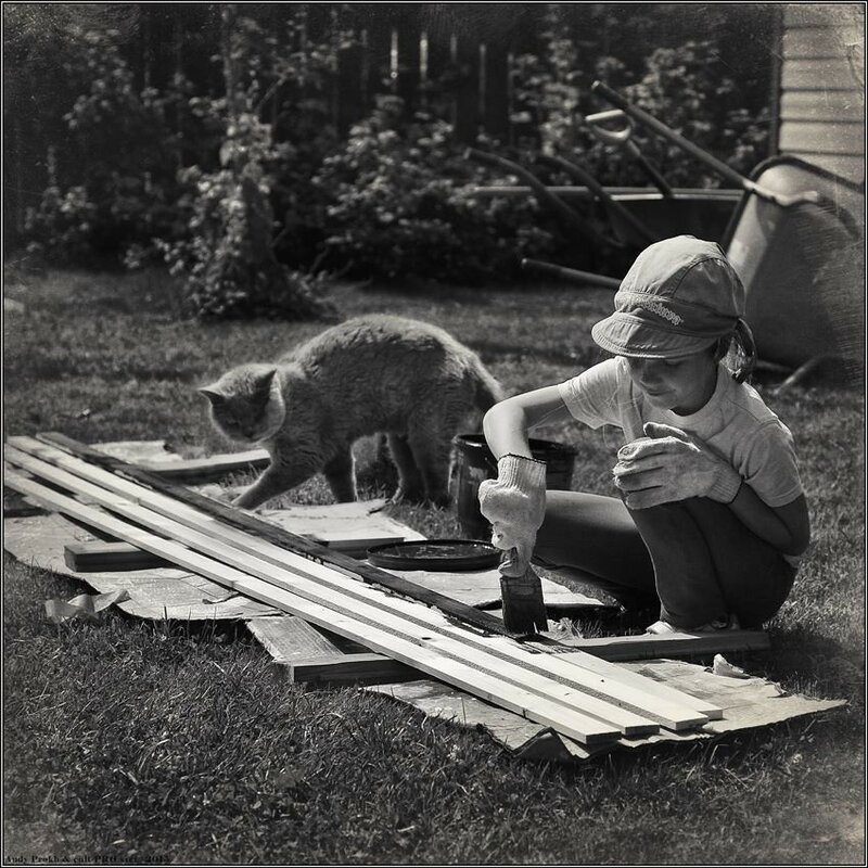 11737826-849654751767284-3194857636027390463-n