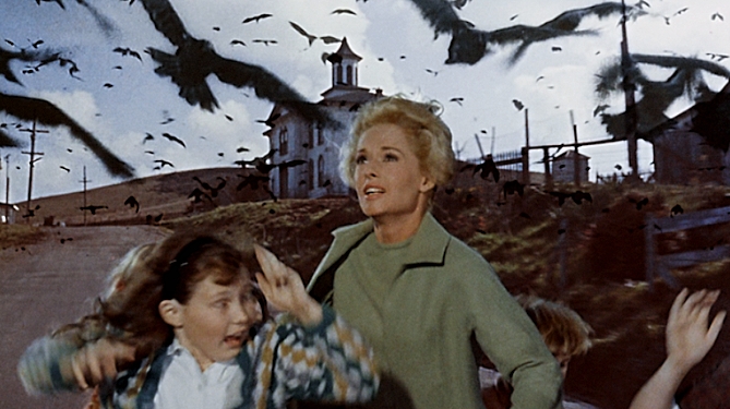 THE-BIRDS-TIPPI-HEDREN-1-A-FOTOR-2.jpg