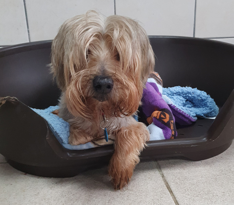 [Image: 20220305-164319.jpg]