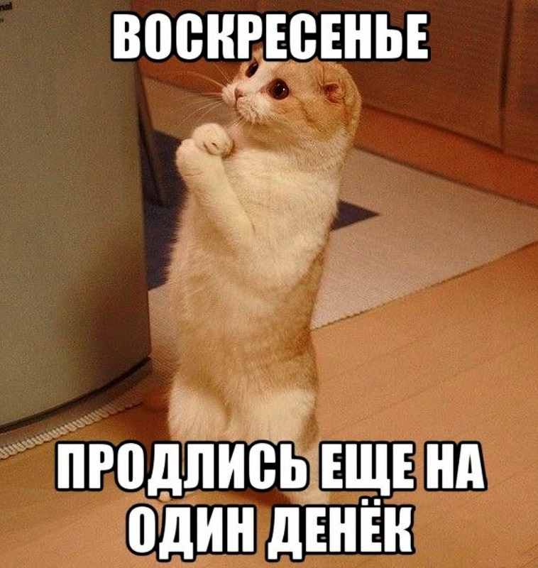 Картинки-про-воскресенье-прикольные-с-юмором013