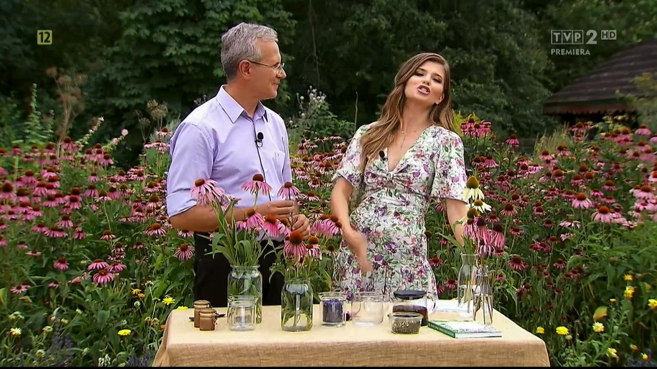 V0323_20190901_115903.mp4_snapshot_00.25_[2019.09.02_15.28.30]