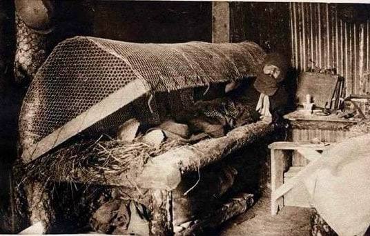 [Изображение: 99533580795e34ad30fa633dd67c115a.jpg]