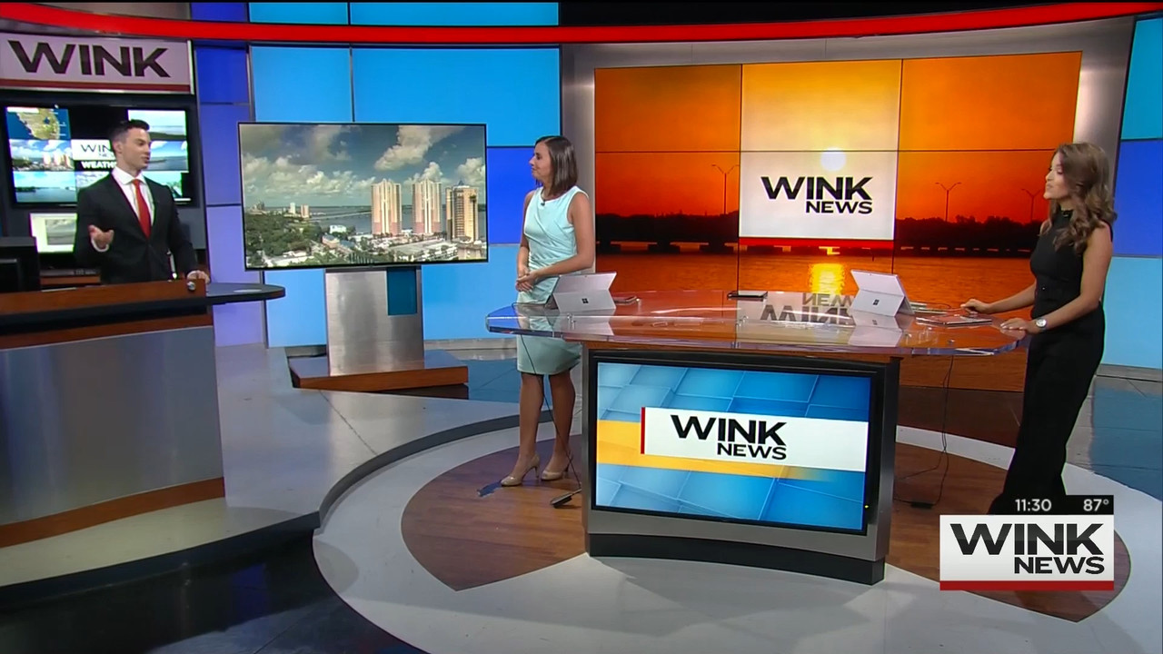 19 July - 16.30.00 - WINK News @ 11 30AM..ts_snapshot_07.00.651