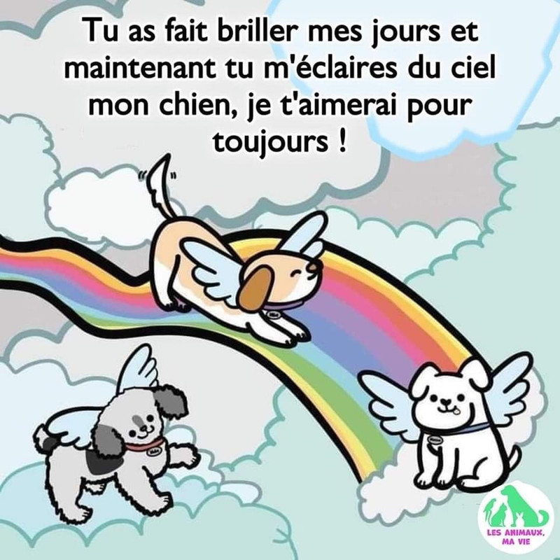 [Image: 234-B49-F4-893-F-45-A9-9004-EF342-ABE3-DB7.jpg]