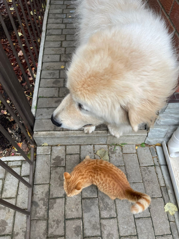 20AEA521-5F62-4216-BA89-3697D4328193