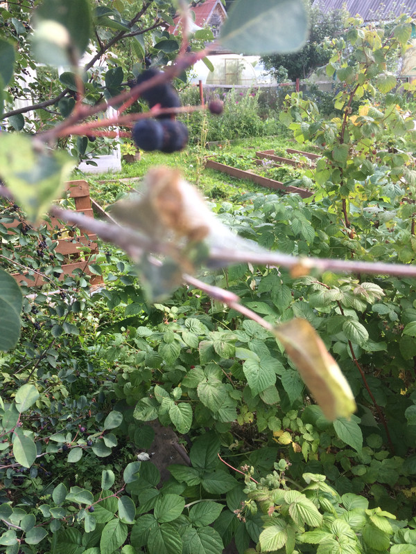 2D7A2A36-5DB2-4BB8-A383-8FC62FBF6DF3