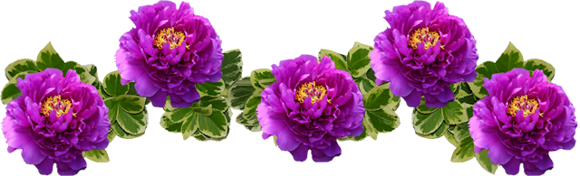 0-d4945-c0f558e6-orig.png