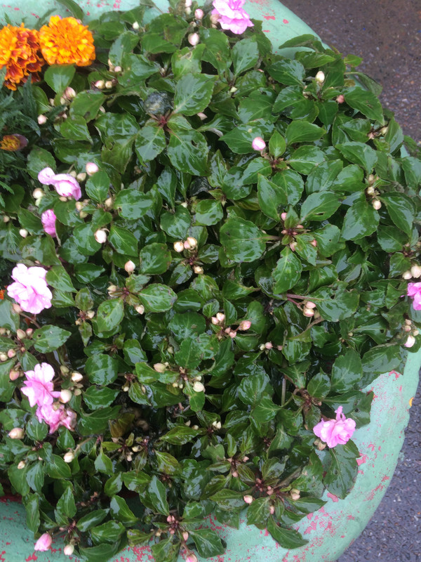 D5C62FBE-92DF-4EB0-9A51-0A7336C47976