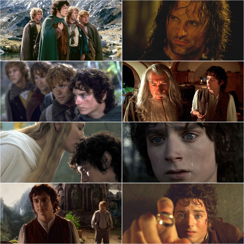 The Lord of the Rings The Fellowship of the Ring (2001) Dual Audio [Hindi & English] Movie BluRay ESub screenshot