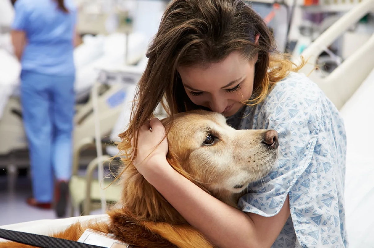 ¿Cómo ayudan las mascotas a nuestra salud mental? Descubre aquí los detalles
