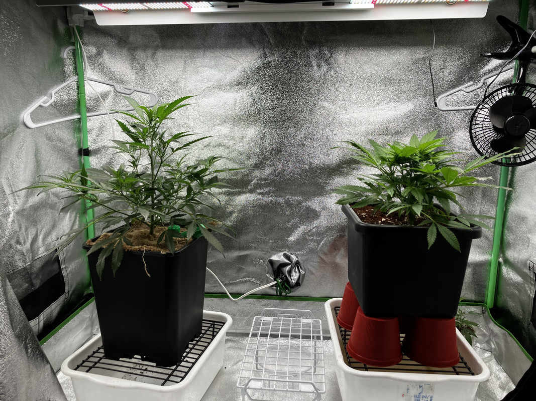 6A2B6032-6BCD-4290-80F0-74A882B4AE40