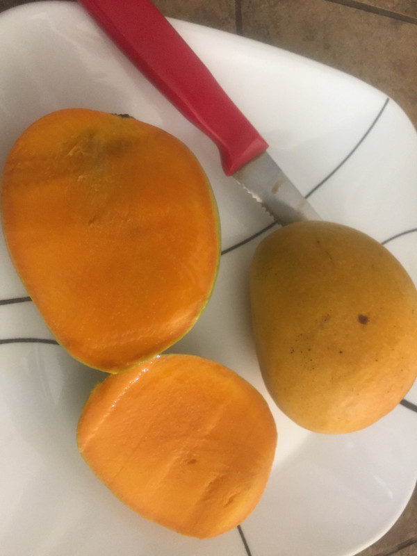 061CFF24-4146-45EB-B6A6-FDAA5F6ED161